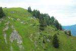 2014-07-05_Laengental-N-Hochweg (875). JPG